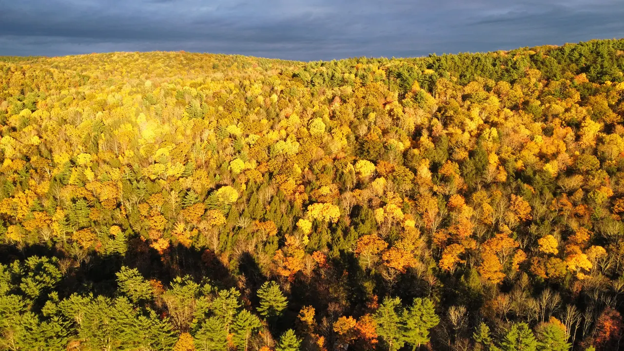 Aerial view of Kingfisher Hollow